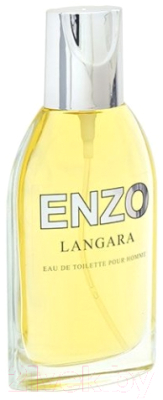 Туалетная вода Positive Parfum Enzo Langara (95мл)