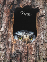 

Записная книжка Канц-Эксмо, Owl / КЗ6483537