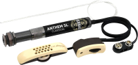 

Звукосниматель гитарный LR Baggs, Anthem SL-C