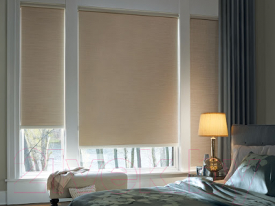 Изображение товара Рулонная штора Jalux Лен 881 135x160 (капучино)