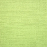 Рулонная штора Jalux Лен 873 100x160 (киви) - 