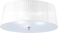 Потолочный светильник Mantra Loewe 4640 - 