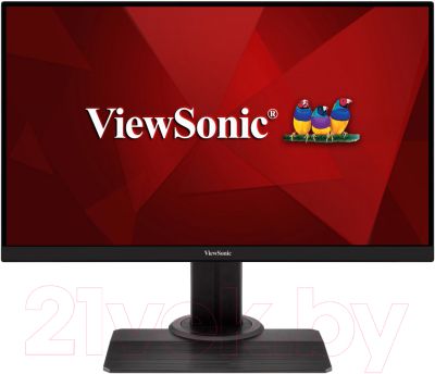 Монитор View XG2405-2