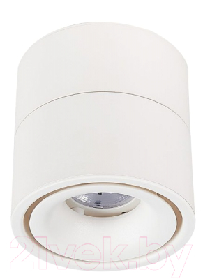 Изображение товара Потолочный светильник ST Luce ST652 ST652.542.12