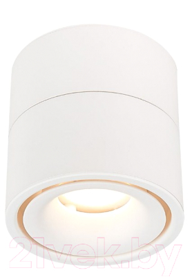 Изображение товара Потолочный светильник ST Luce ST652 ST652.542.12