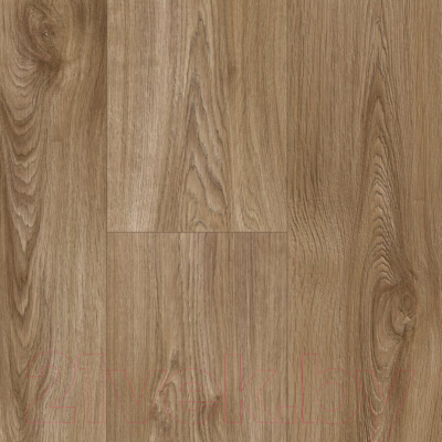 Линолеум IVC Texmark Сатин OAK 750 (2.5x4.5м)