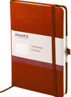 Записная книжка Axent Partner Lux А5 / 8202-19 (96л, коричневый)
