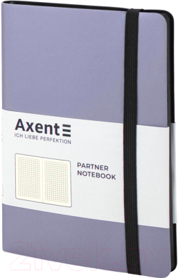 Записная книжка Axent Partner Soft А5 / 8206-34 (96л, серебряный)