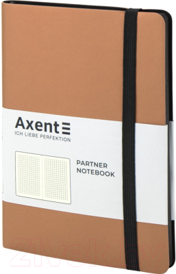 Записная книжка Axent Partner Soft А5 / 8206-35 (96л, золотой)