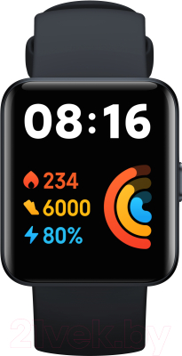 Умные часы Xiaomi Mi Watch 2 Lite BHR5436GL (черный)