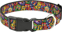 

Ошейник Buckle Down, Цветные черепа / CPC-WTY003-M