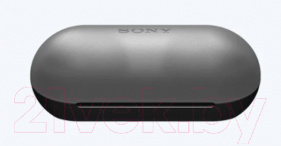 Беспроводные наушники Sony WF-C500 / WFC500B.E (черный)