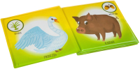 

Игрушка для ванной Bondibon, Кто что ест / ВВ3895