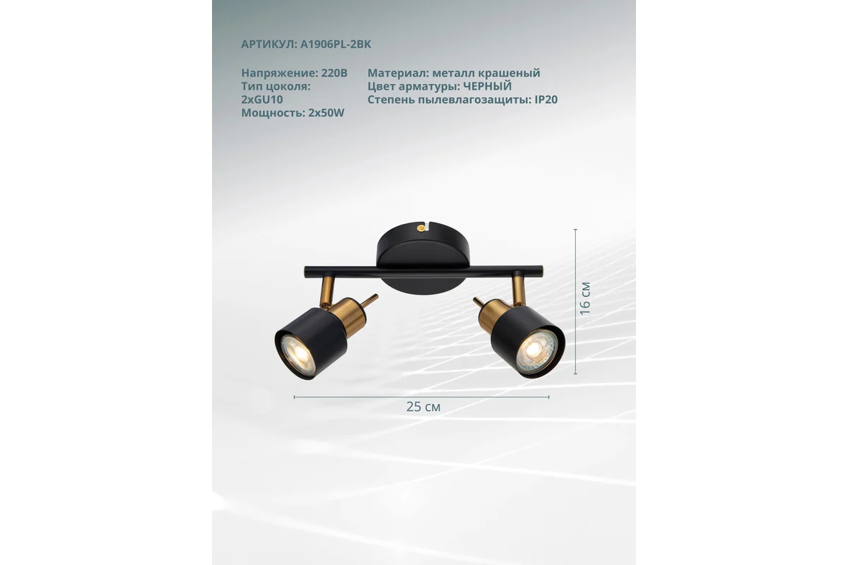 Спот Arte Lamp Almach A1906PL-2BK