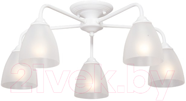 Люстра Vitaluce V3946-0/5PL