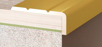 Изображение товара Профиль декоративный Domoletti Для ступеней 24мм/10мм 0.9м (золото матовое)