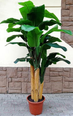 Искусственное растение ForGarden Дерево Banana Tree 210cm / FGN BF01710