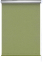 Рулонная штора LEGRAND Блэкаут Сильвер 120x175 / 58 089 698 (зеленый) - 