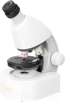 Микроскоп оптический Discovery Micro Polar с книгой / 77952