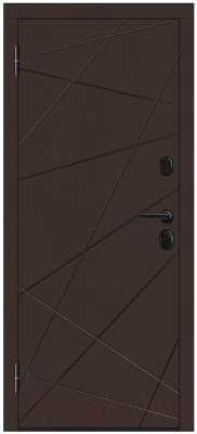 Входная дверь Металюкс M602/1 Z (96x205, левая)