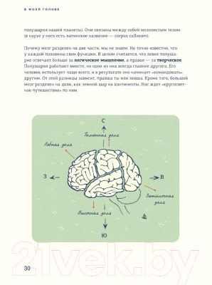 Энциклопедия МИФ В моей голове. Как устроен мозг и зачем он нам нужен (Ван Омберген А.)