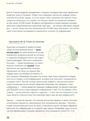 Энциклопедия МИФ В моей голове. Как устроен мозг и зачем он нам нужен (Ван Омберген А.)