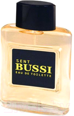 

Туалетная вода Neo Parfum, Sent Bussi Pour Homme