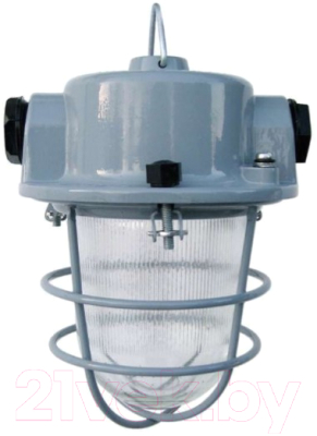 Светильник для подсобных помещений Элетех Шахтер IP54 НСР 01-100-02 / 1005600003 (алюминий/решетка)