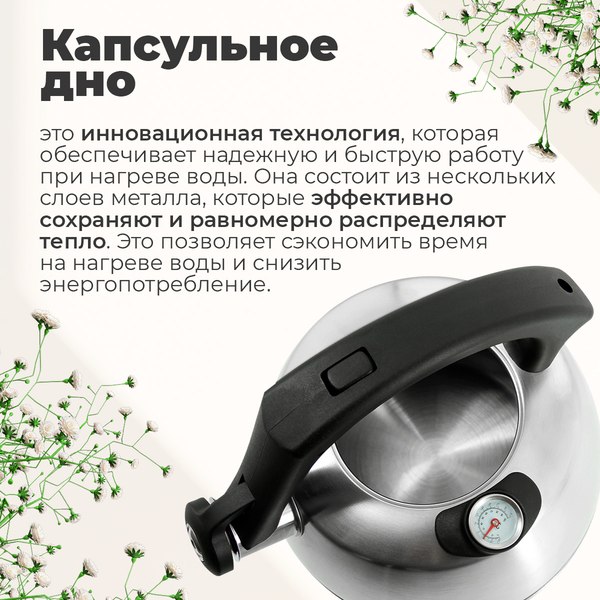 Чайник со свистком Pomi d'Oro Napoli / P-650205