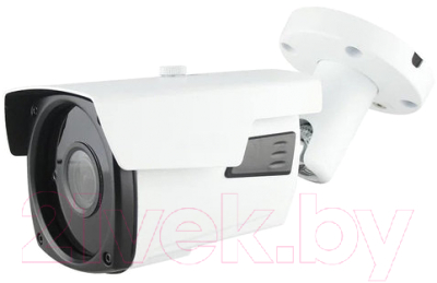 IP-камера Arsenal AR-IP502SDP/63-MZ Starlight