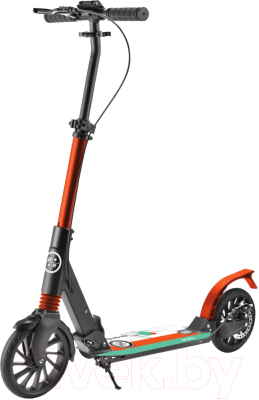 

Самокат Atemi, Airfly ATC04