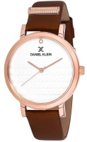 Часы наручные женские Daniel Klein 12054-6 - 