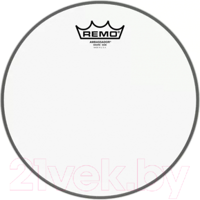 Пластик для барабана Remo SA-0110-00