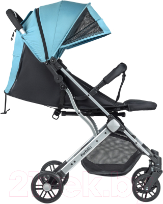 Детская прогулочная коляска Farfello Comfy Go / CG (мятно-черный)