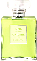 Парфюмерная вода Chanel №19 Poudre for Woman (100мл) - 