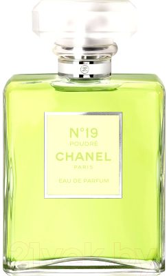 Парфюмерная вода Chanel №19 Poudre for Woman (100мл)