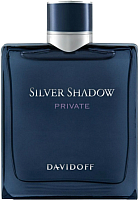 Туалетная вода Davidoff Silver Shadow Private for Man (50мл) - 