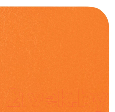 Записная книжка Brauberg Metropolis Ultra / 111019 (оранжевый)