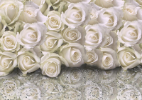 

Фотообои листовые Citydecor, Розы с каплями росы с защитным покрытием