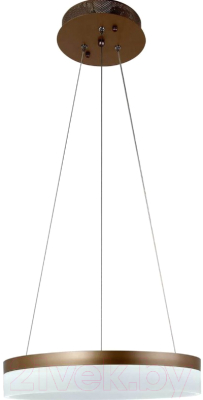 

Потолочный светильник Stilfort, Elymias 2089/74/01C