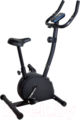 

Велотренажер Royal Fitness, RFIB-12