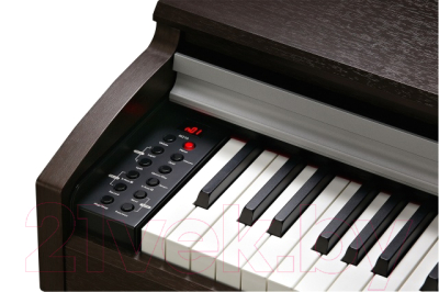 Цифровое фортепиано Kurzweil M210 SR