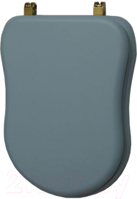 

Сиденье для унитаза Caprigo, 3813 SFe-BB-L817