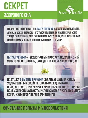 Ортопедическая подушка Smart Textile Золотая пропорция 50x70 / E292 (лузга гречихи, голубой)