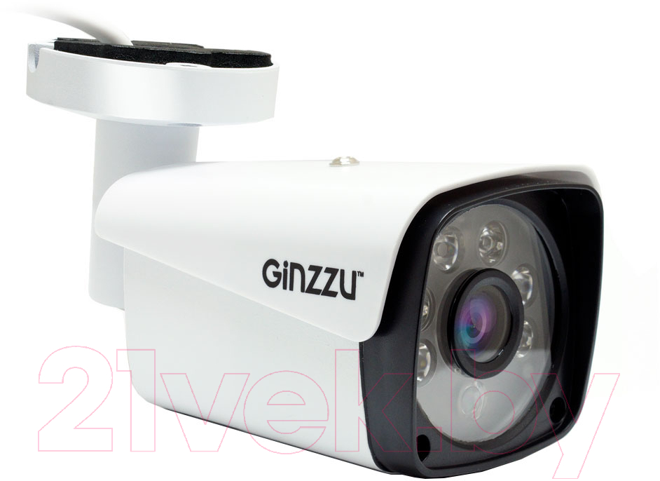 IP-камера Ginzzu HIB-5303A