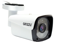 IP-камера Ginzzu HIB-5303A - 