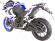 Миниатюра изображения товара Мотоцикл Racer Storm RC250XZR-A (синий)