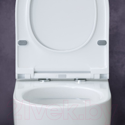 Купить Унитаз подвесной Berges Ego XL 54 / 082018 в Барановичах
