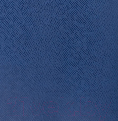 Ежедневник Brauberg Iguana / 125091 (темно-синий)