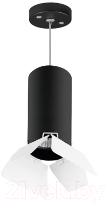 

Потолочный светильник Lightstar, Rullo RP6487486